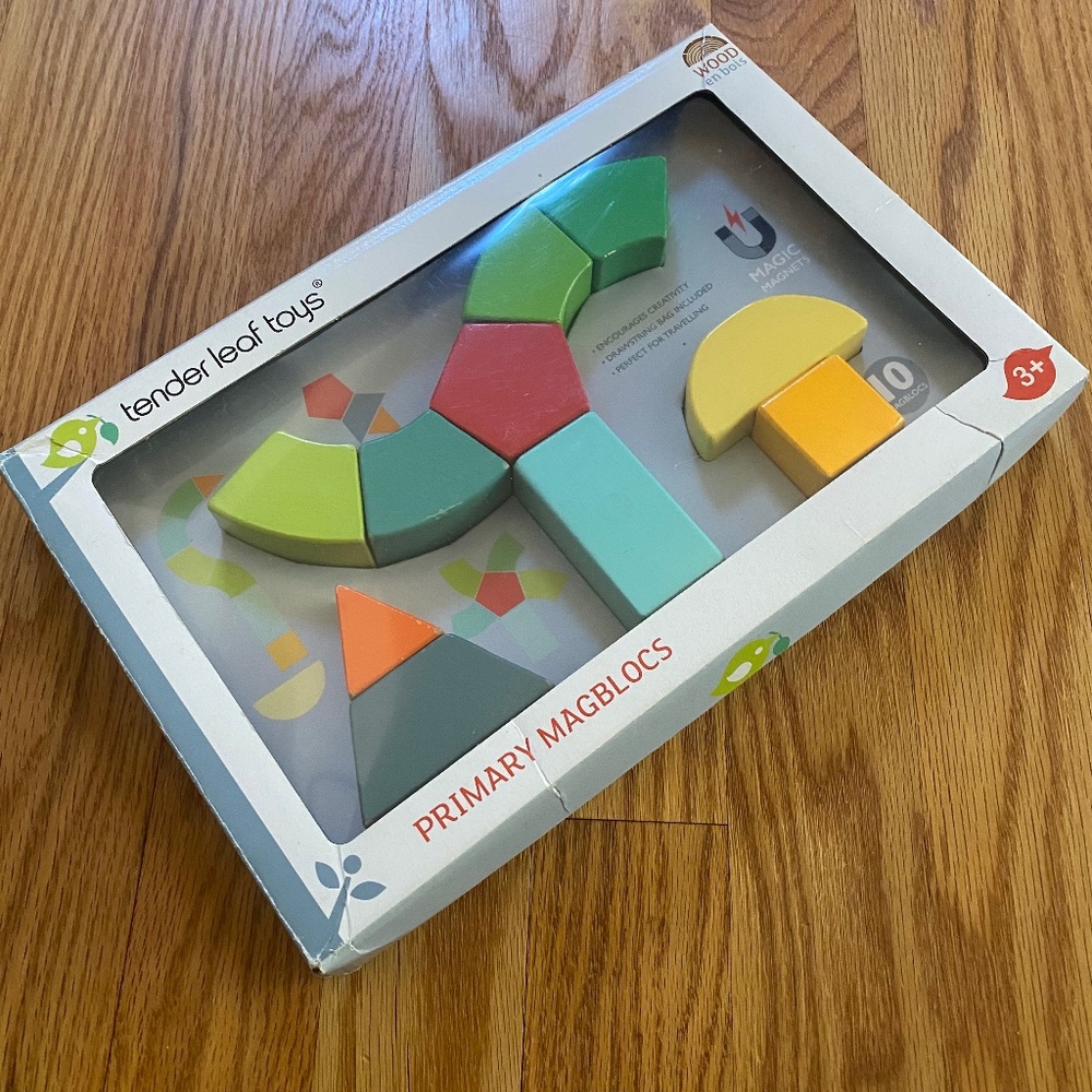 tender leaf toys Magblocs Nontoxic Magnetic Wooden Toy Set